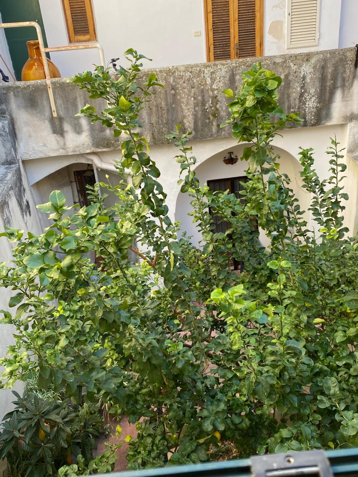Casetta Zia Tetti Lecce Extérieur photo
